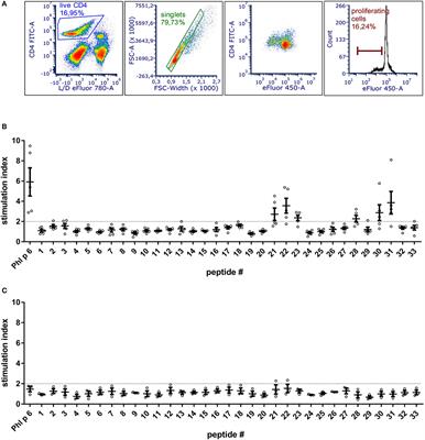 In silico Design of Phl p 6 Variants With Altered Fold-Stability Significantly Impacts Antigen Processing, Immunogenicity and Immune Polarization